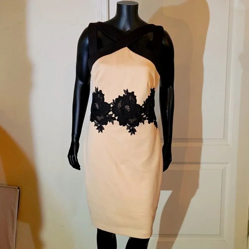 BRAND NEW JAX WOMEN"S SLEEVELESS KNEE LENGTH DRESS - Picture 1 of 12
